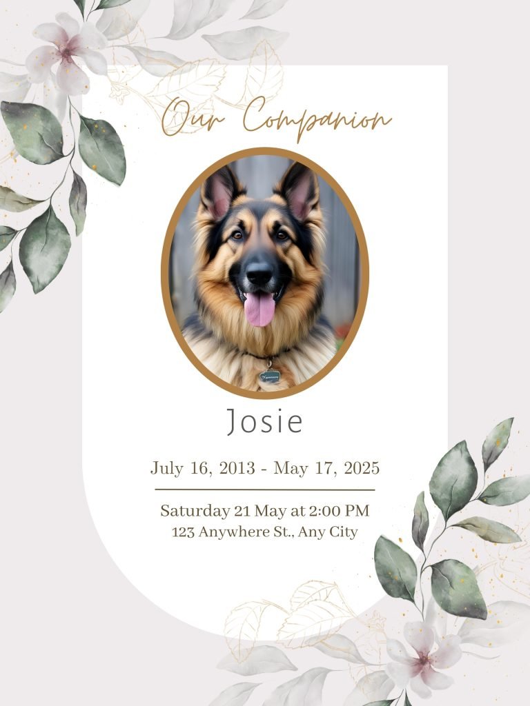 Pet Obituaries Funeral Poster Editable file 1