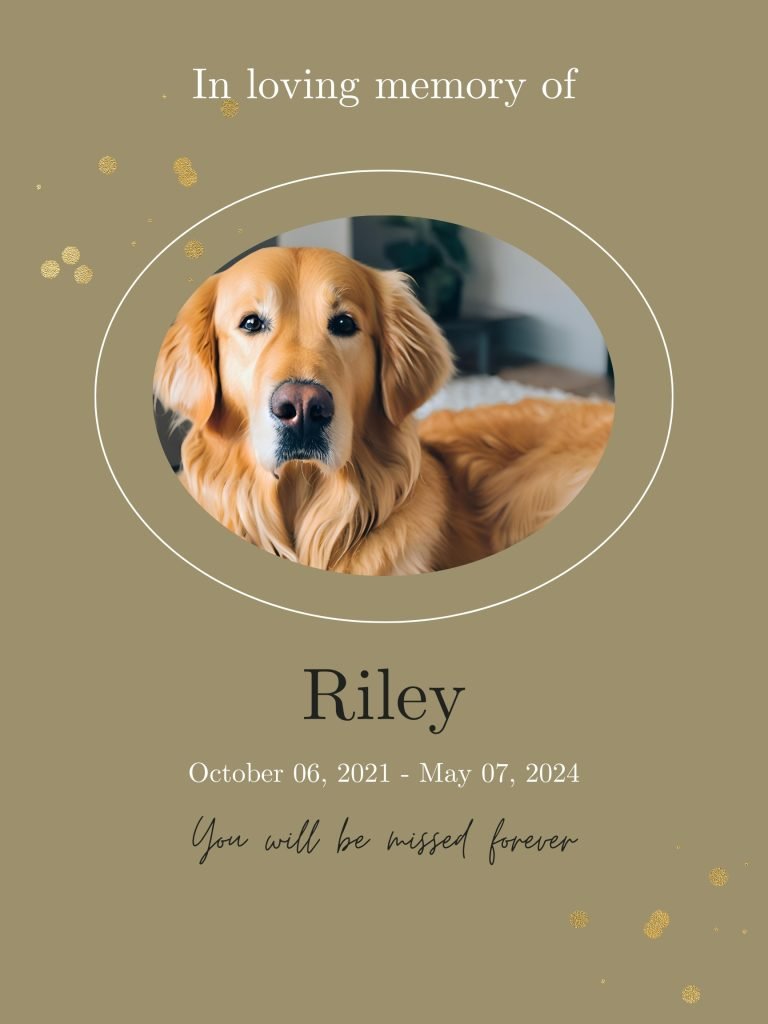 Pet Obituaries Funeral Poster Editable file 3